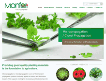 Tablet Screenshot of monfori.com